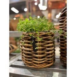 A2 Living Mini Low Rund Rattankurv