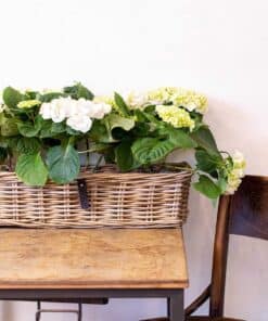 A2 Living Maxi Aflang Rattanbakke - Kubu - Billede 4