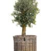 a2 living Maxi XL Low Rund Rattankurv - Kubu (inkl. pose)